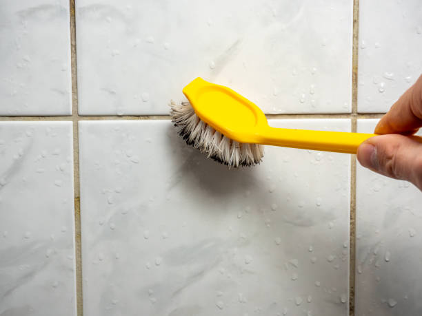 Best Residential Mold Removal  in Newport East, RI